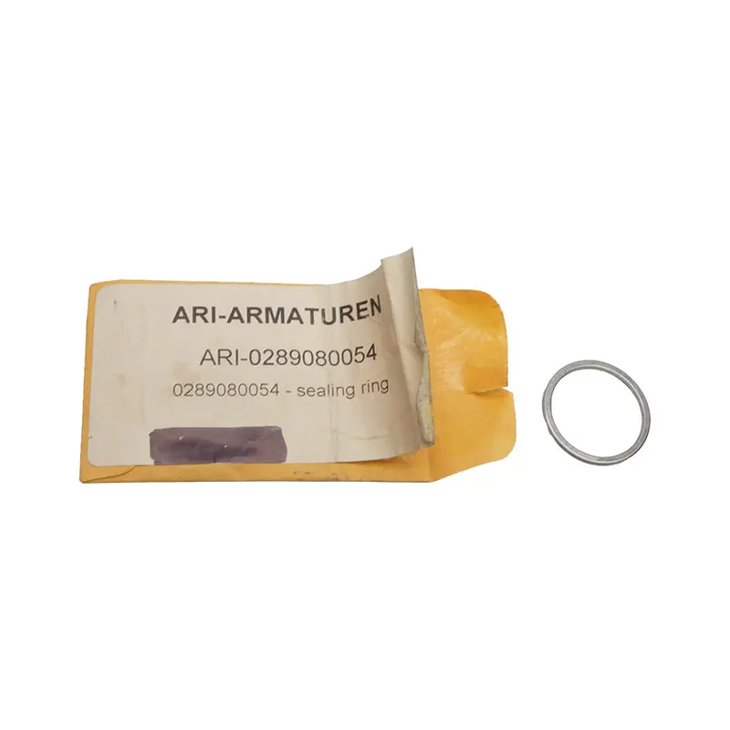 Ari-Armaturen 0289080054 Nsmp 1
