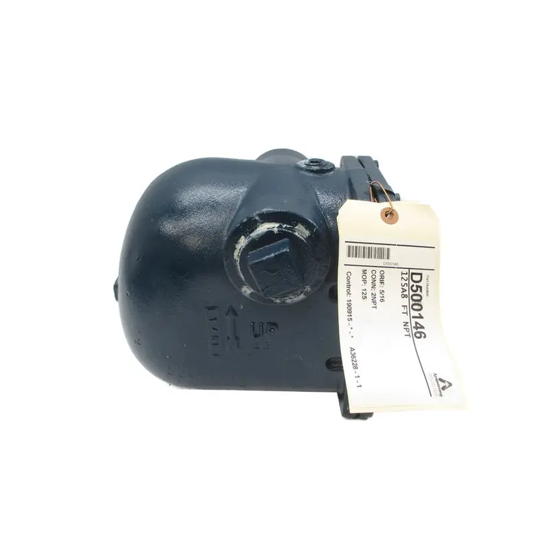Armstrong D500146 125A8 175Psi 5/16" Nsnp 1