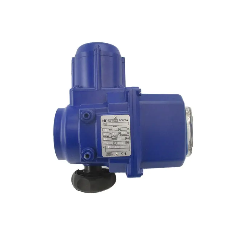 Bernard Controls Sq-6 230V 0.6A Nsnp 1