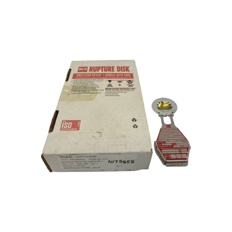 Bs&B Safety Systems Jrs 300424 92Psi 312'F 1" Nsmp 1