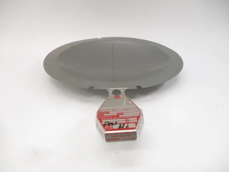 Bs&B Safety Systems S90 Rd-Ut-01-1,Rd-Ut-01-2 40Psi 100'F 10" Nsmp 2