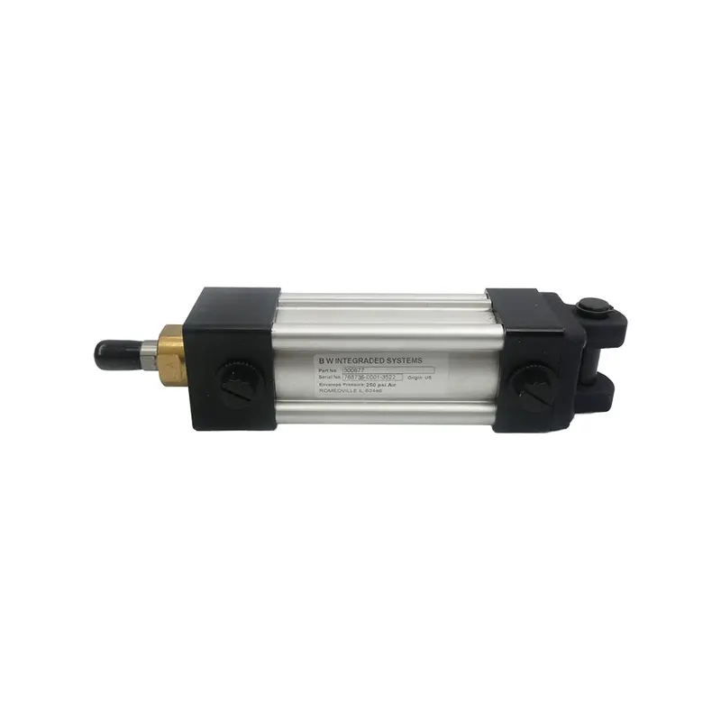 Bw Integraded Sytems 300677 250Psi Nsnp 1