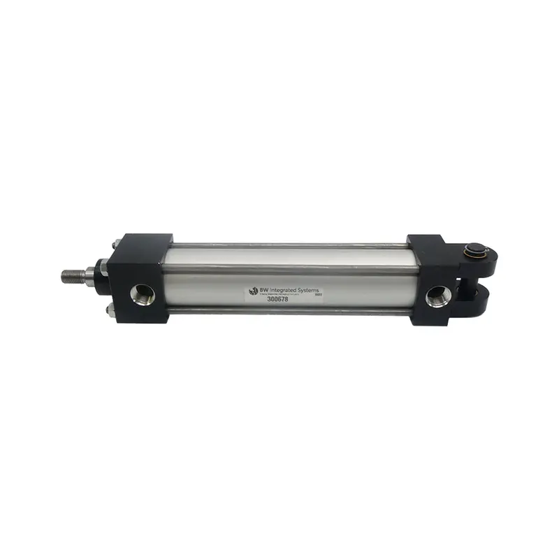 Bw Integrated Systems 300678 Nsnp 1