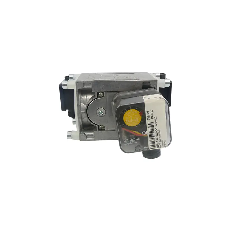 Dungs 267088 Dmv-Dle702/624L 7Psi Nsnp 1
