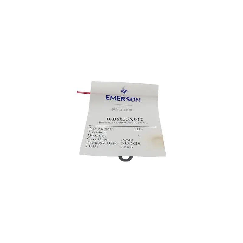 Emerson 18B6035x012 Nsmp 1
