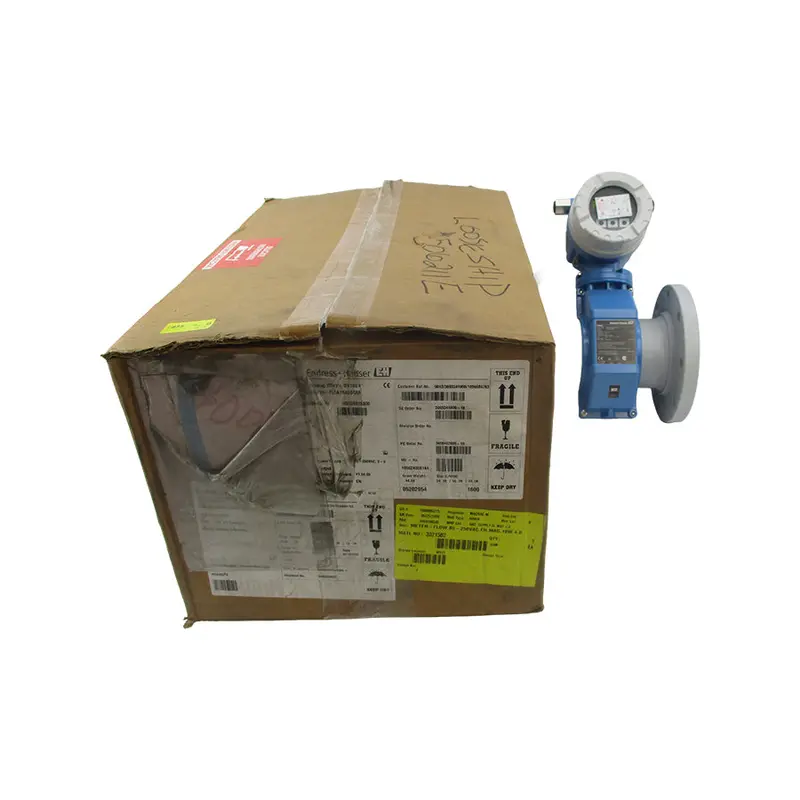 Endress Hauser 10W1h-Pl0a1ra0b4aa Nsmp 1