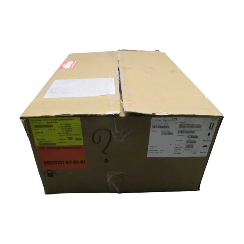 Endress+Hauser 5P3b1f-17Vp5/115 F/W 01.06.03 Nsmp 1