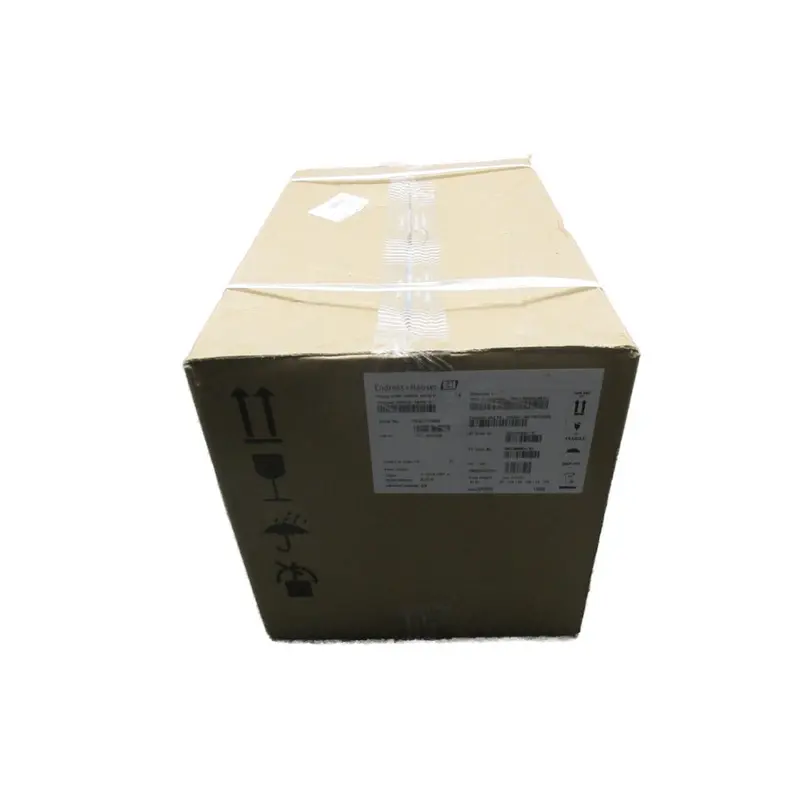Endress+Hauser 5W4c1h-2N9q5/101 F/W 02.01.03 Nsfs 1