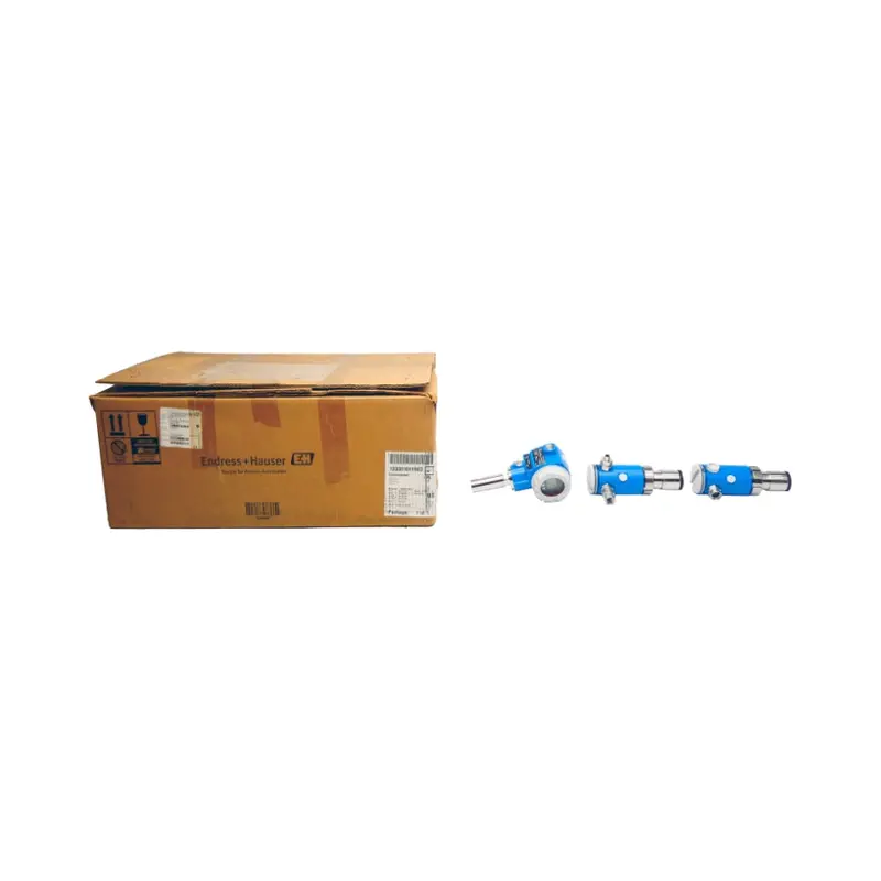 Endress+Hauser Fmd71 Fmd71-Aa24aad1h1hgeccdc F/W 01.00.00 Rev. 1 13-45Vdc Nsmp 1