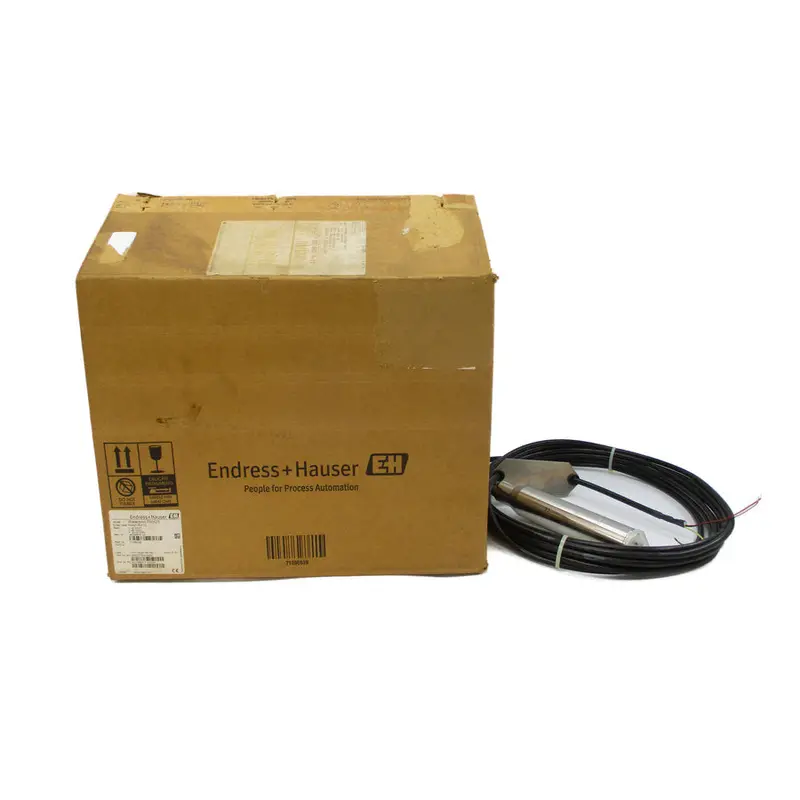 Endress+Hauser Fmx21-3D21/0 71082058 F/W 01.00.00 10.5-35Vdc Rev. 1 Nsmp 1