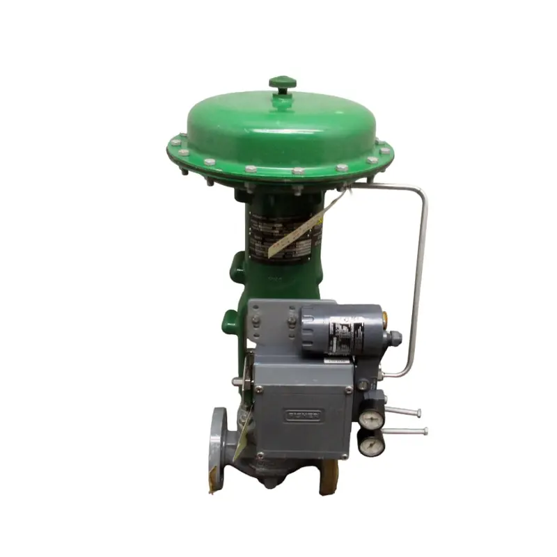 Fisher 667 Ez 0-33Psi 1 1/2" Nsnp 1