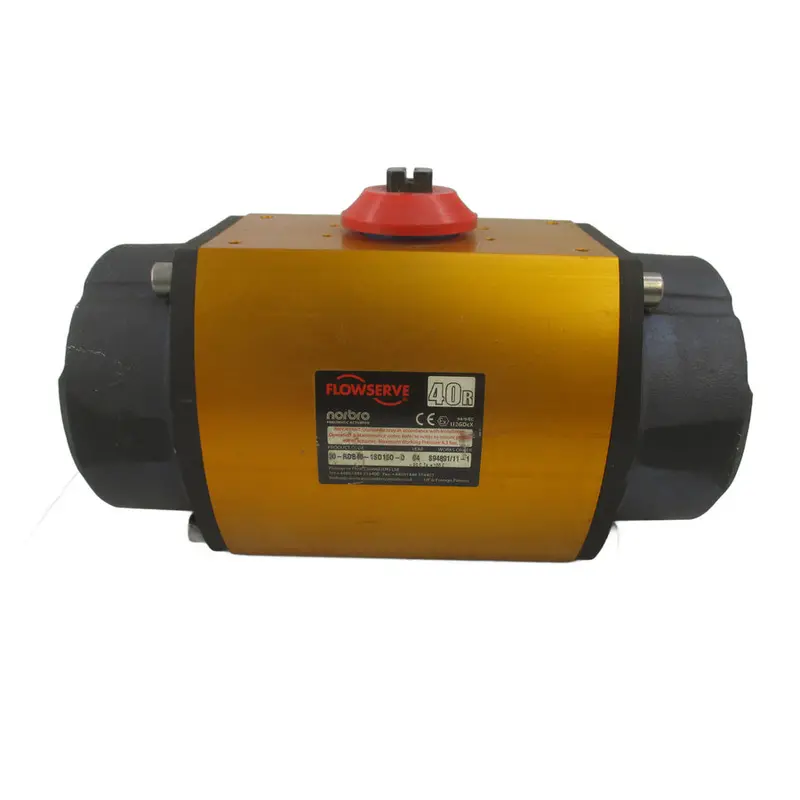 Flowserve 30-Rdb40-1Sd1eo-D Nsnp 1