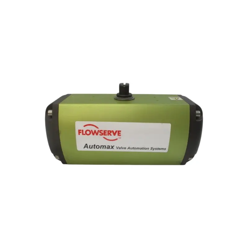 Flowserve B115s10-S31 150Psi Nsnp 1