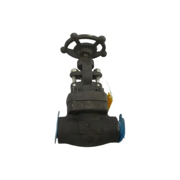 Fortune 861-Tf 1975Psi 3/4" Nsnp 1