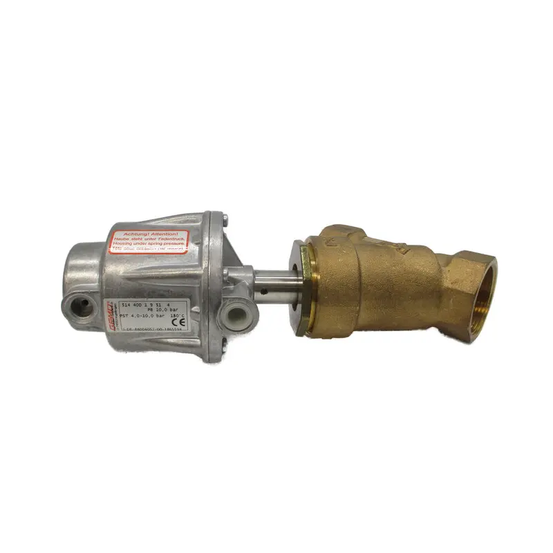 Gemu 51440D19514 I-De-88004057-00-1865594 Nsnp 1