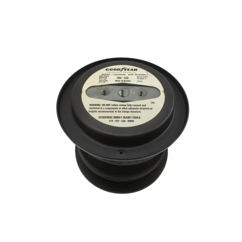 Goodyear 2B6-530 579-922-530-00000 100Psi Nsnp 1