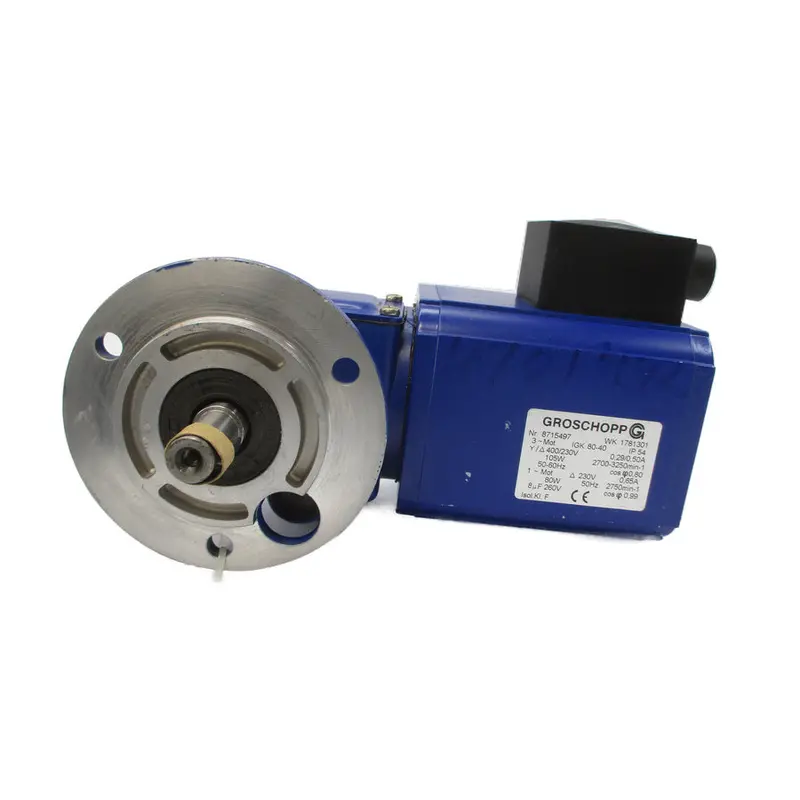 Groschopp Wk1781301 Igk80-40 400/230V 0.29/0.50A Nsnp 1