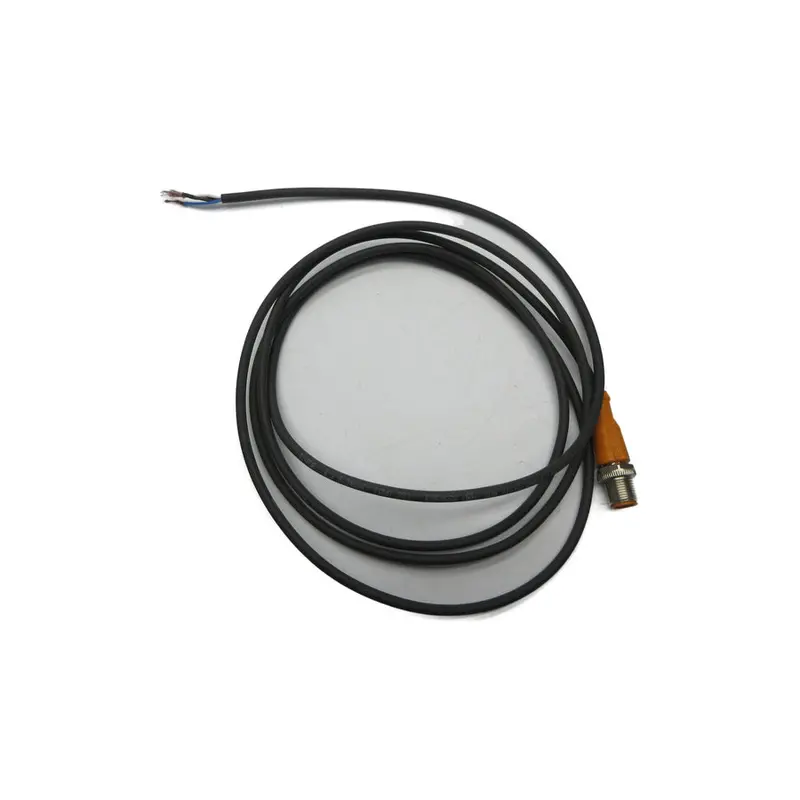 Ifm Efector Evc076 250Vac Nsnp 1