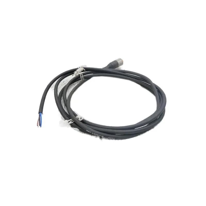 Ifm Efector Rkt4-225/2M Nsnp 1