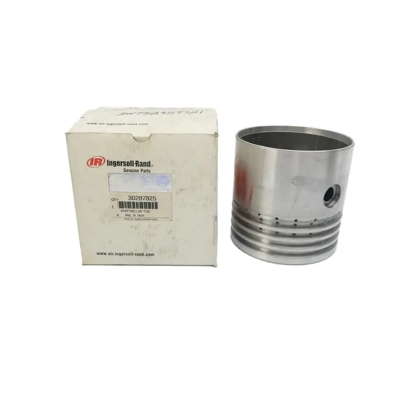Ingersoll Rand 30287825 Nsmp 1