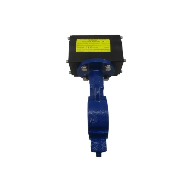Keystone 221 F89u-004 250Psi 2" Nsnp 1