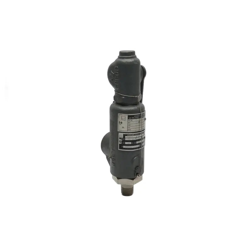 Kunkle 264P-C01-Kg 1100Psi 1/2"  Unmp 1