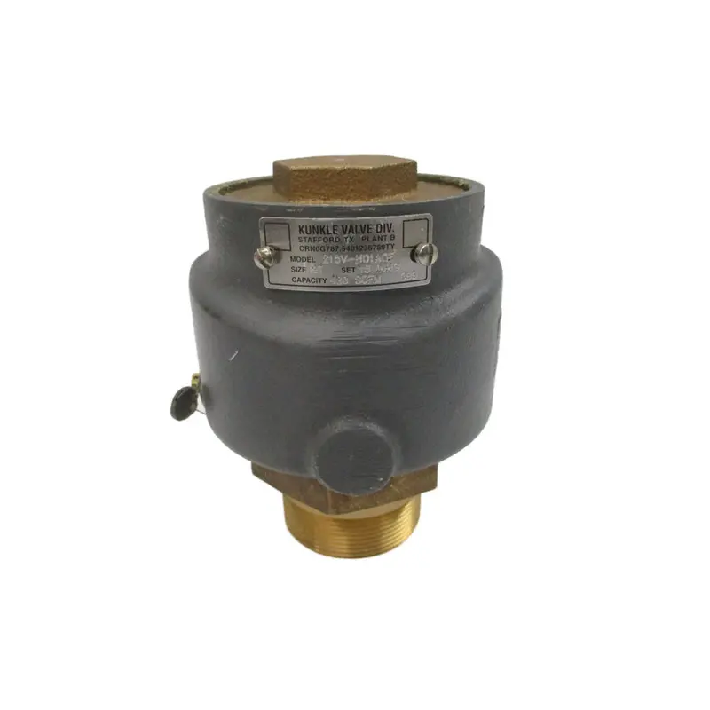 Kunkle Valve 215V-H01aqe 2" Nsnp 1