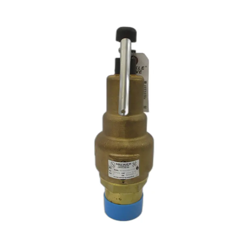 Kunkle Valve 6010Hhm01akm 125Psi 2" Nsnp 1