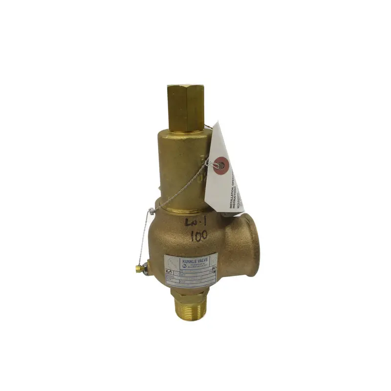Kunkle Valve 912Bfem01-Je 100Psi 1" Nsnp 1