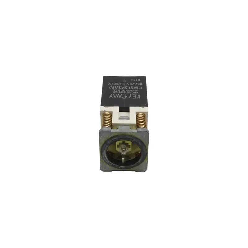 Micro Switch Pw2l2a1af2 110/120V Nsnp 1
