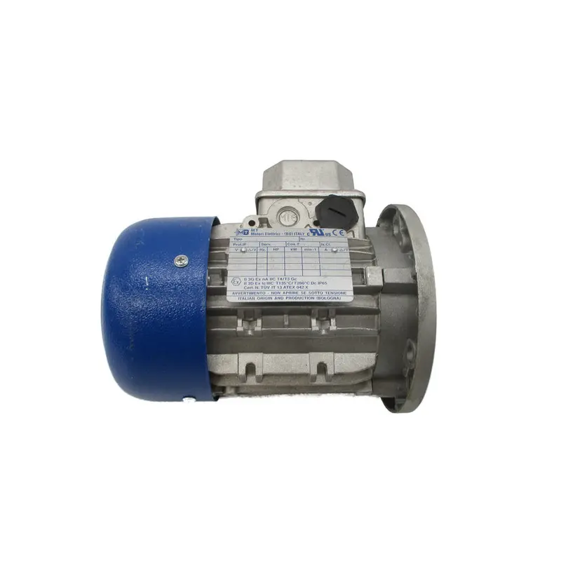 Motori Elettrici Tn63c/4-14 208-230/460V 2.1/2.4-1.2A Nsnp 1