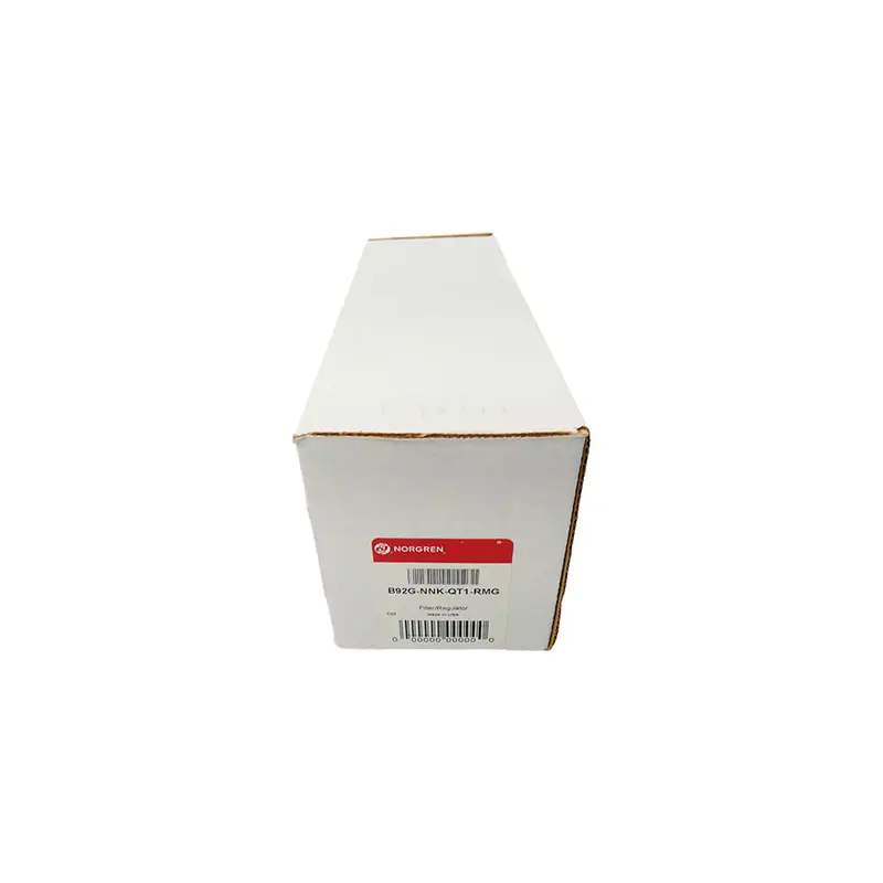 Norgren B92g-Nnk-Qt1-Rmg Nsfs 1