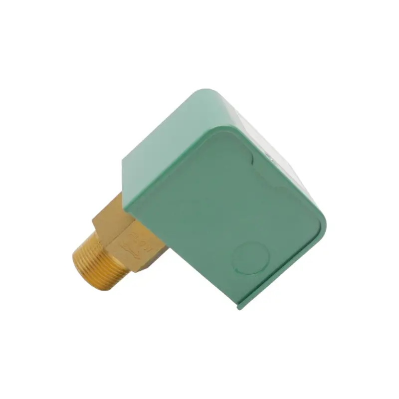 Raypak Ifs01bn-S2 Nsnp 1