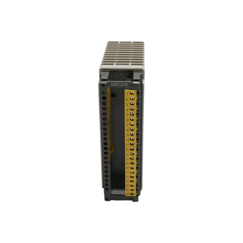 Schneider Automation Dep218/As-Bdep-218 115Vac Nsnp 1