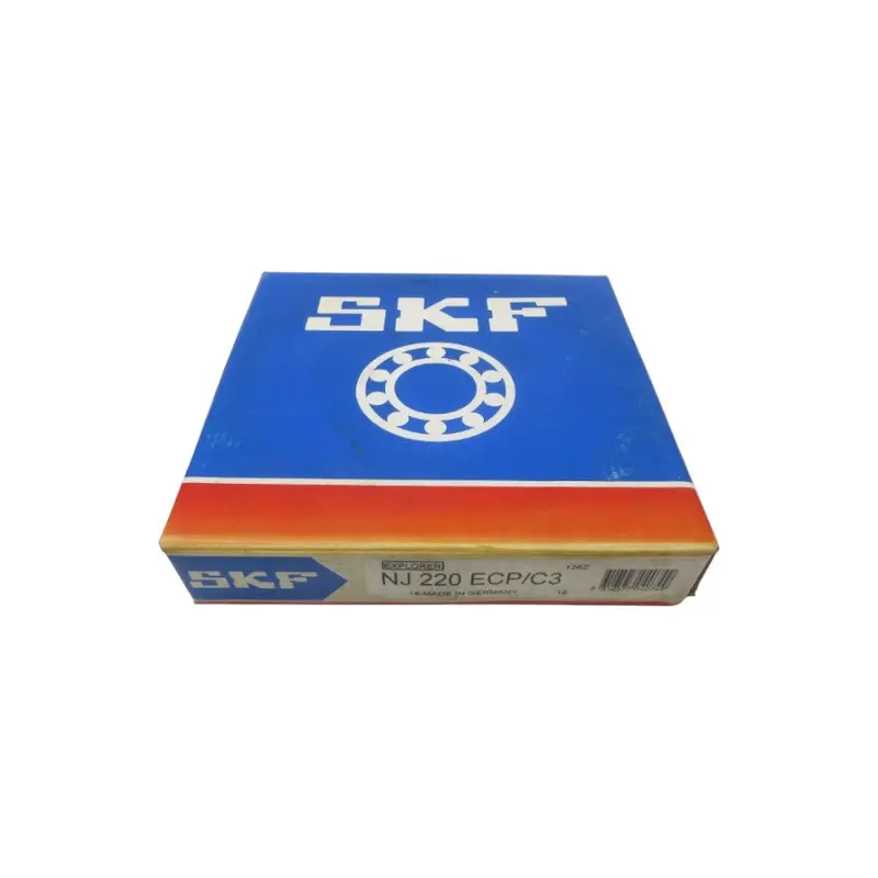 Skf Nj220ecp/C3 Nsfs 1