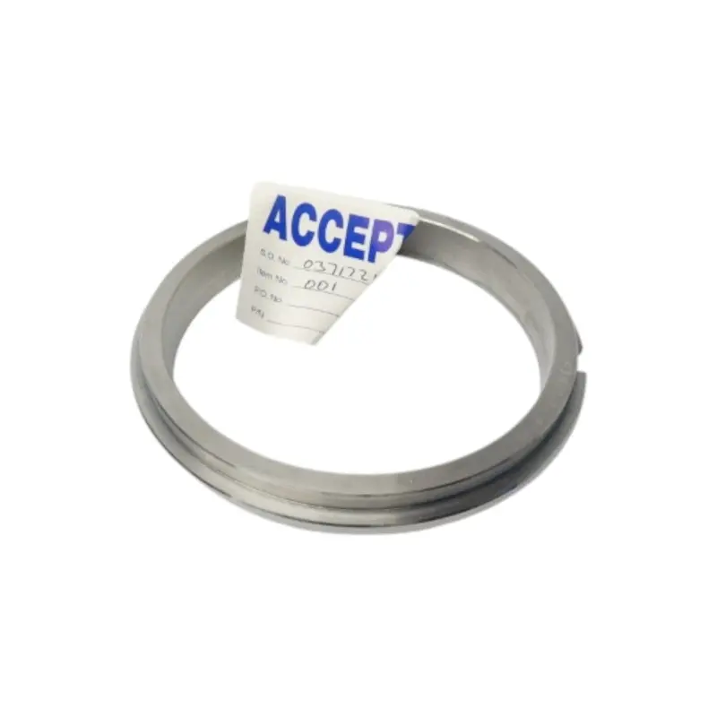 Sulzer 1269887 Nsnp 1