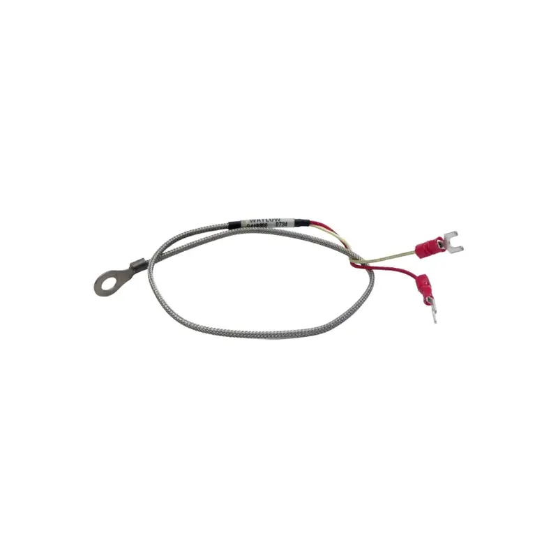 Watlow G419300 Nsnp 1