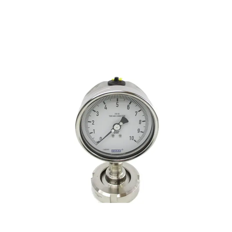Wika 110Eqigd 0-10 Nsnp 1